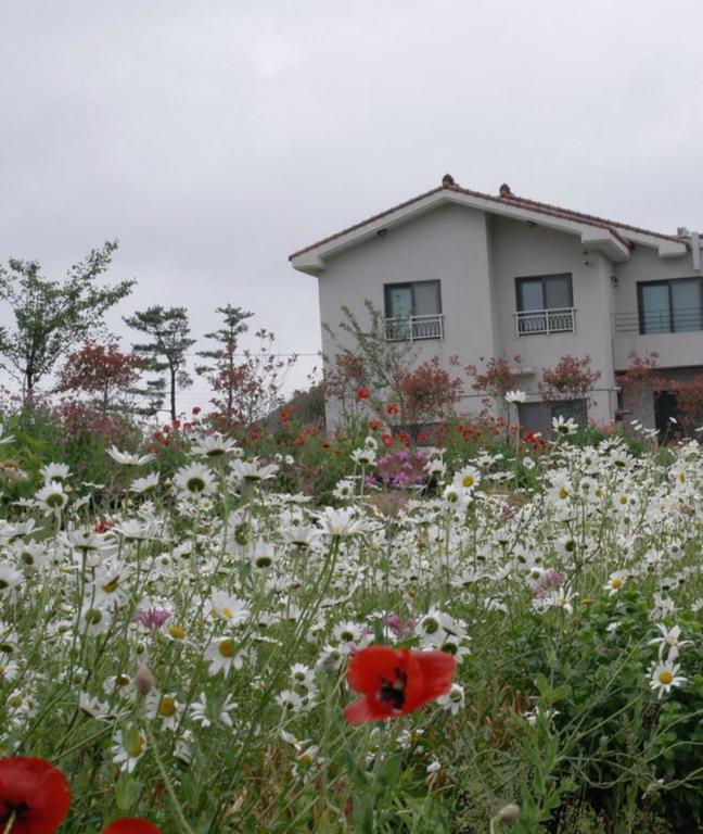 Villa Baghdad House à Jeju Extérieur photo